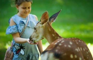 parc animalier Dordogne