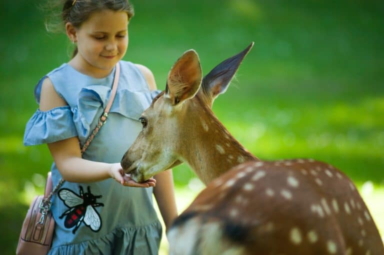 parc animalier dordogne